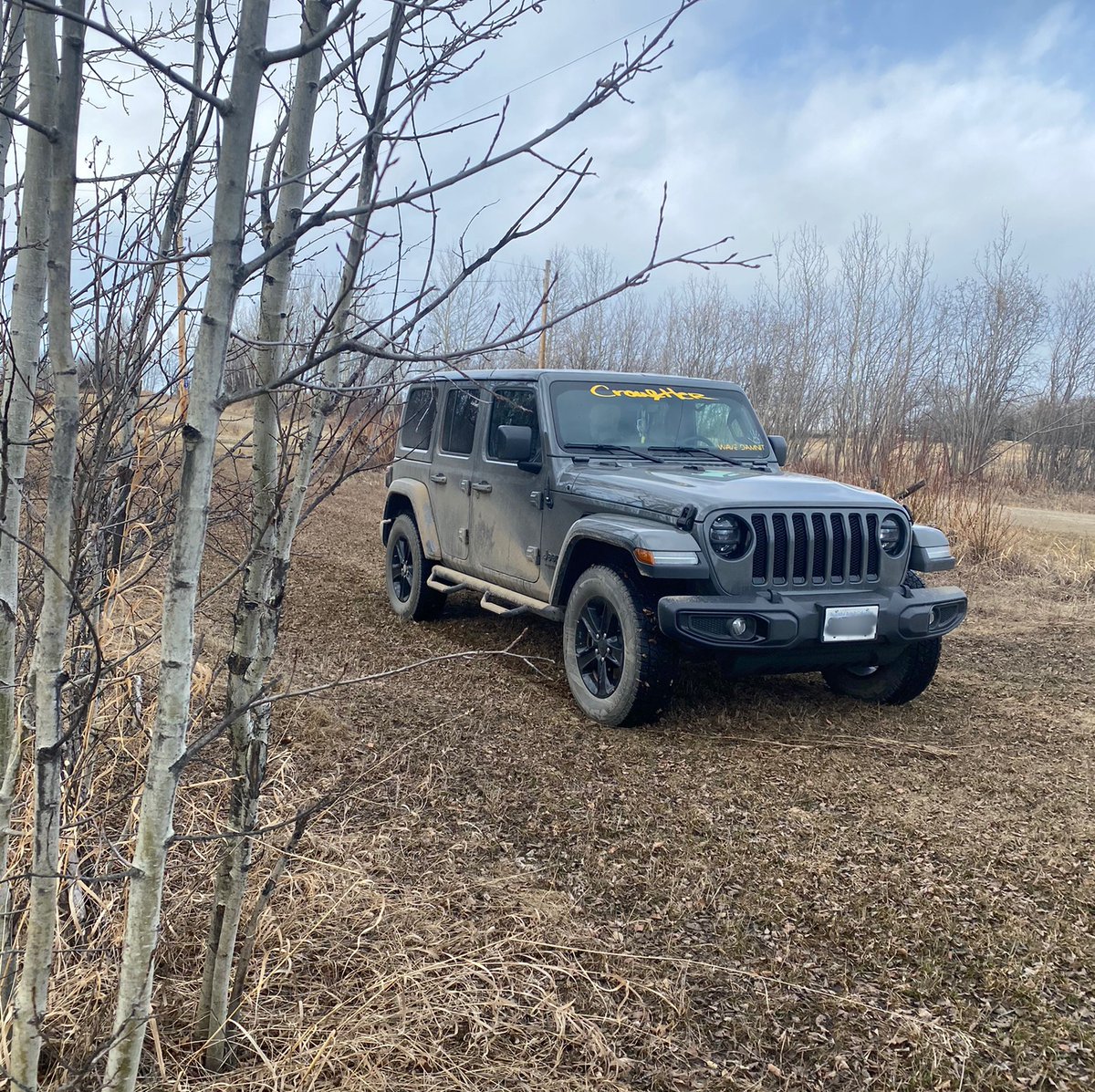 go where you feel the most alive 💛