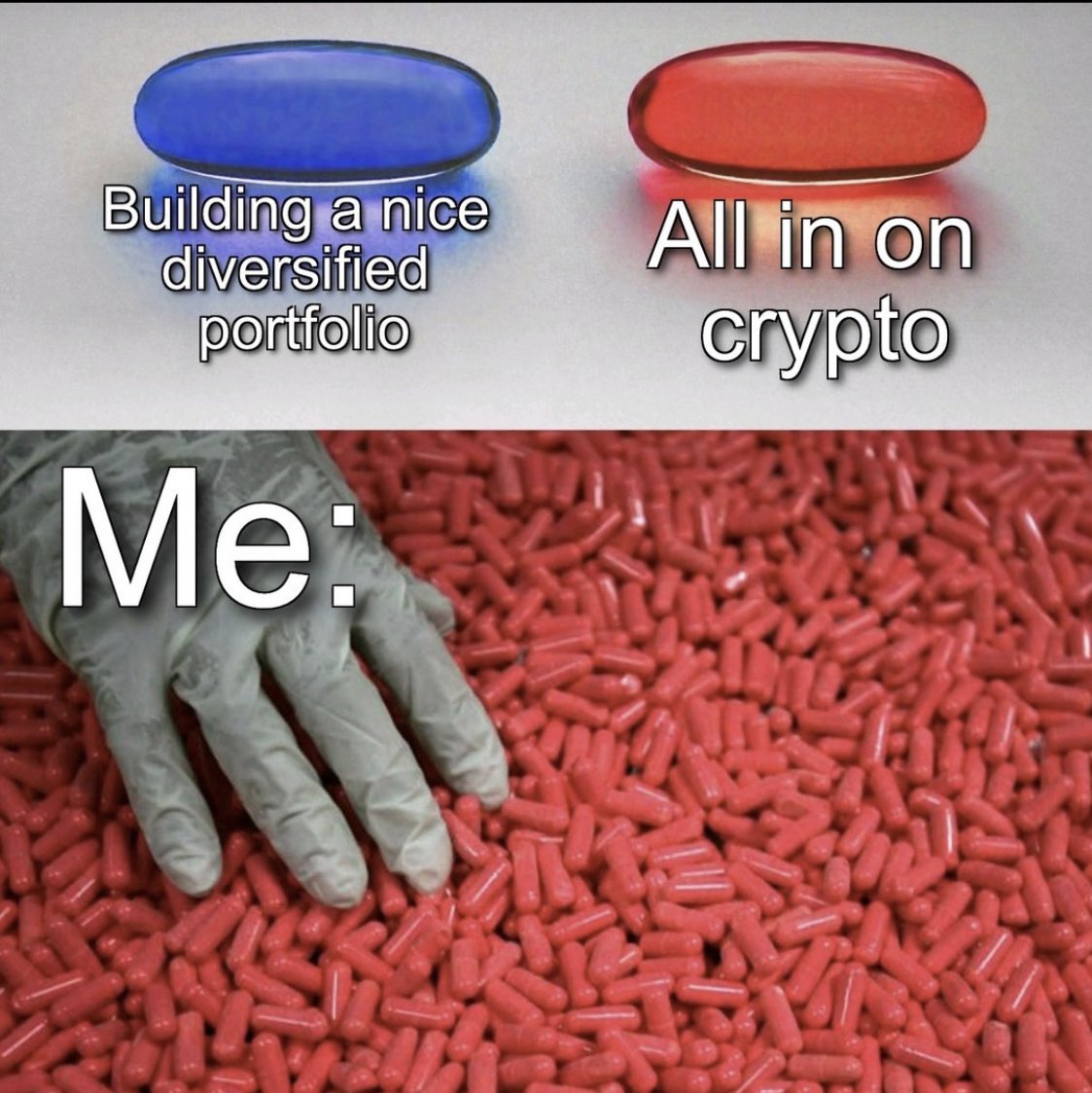 Metaverse_Terra's tweet photo. Crypto 🤜🏼🤛🏼 https://t.co/6vZJpiyWD9