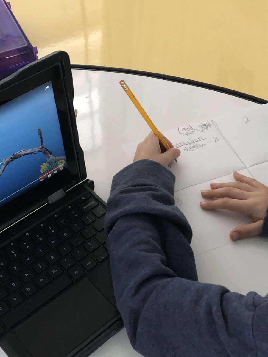 TimCharles123's tweet photo. Room 15 kicking off WOW  Zoologist today by taking “Field Notes” of animal behaviors on All Things Animal ⁦@MagnoliaCVUSD⁩ ⁦@CajonValleyUSD⁩ ⁦@CVWorldofWork⁩ https://t.co/aE8vllU2kl
