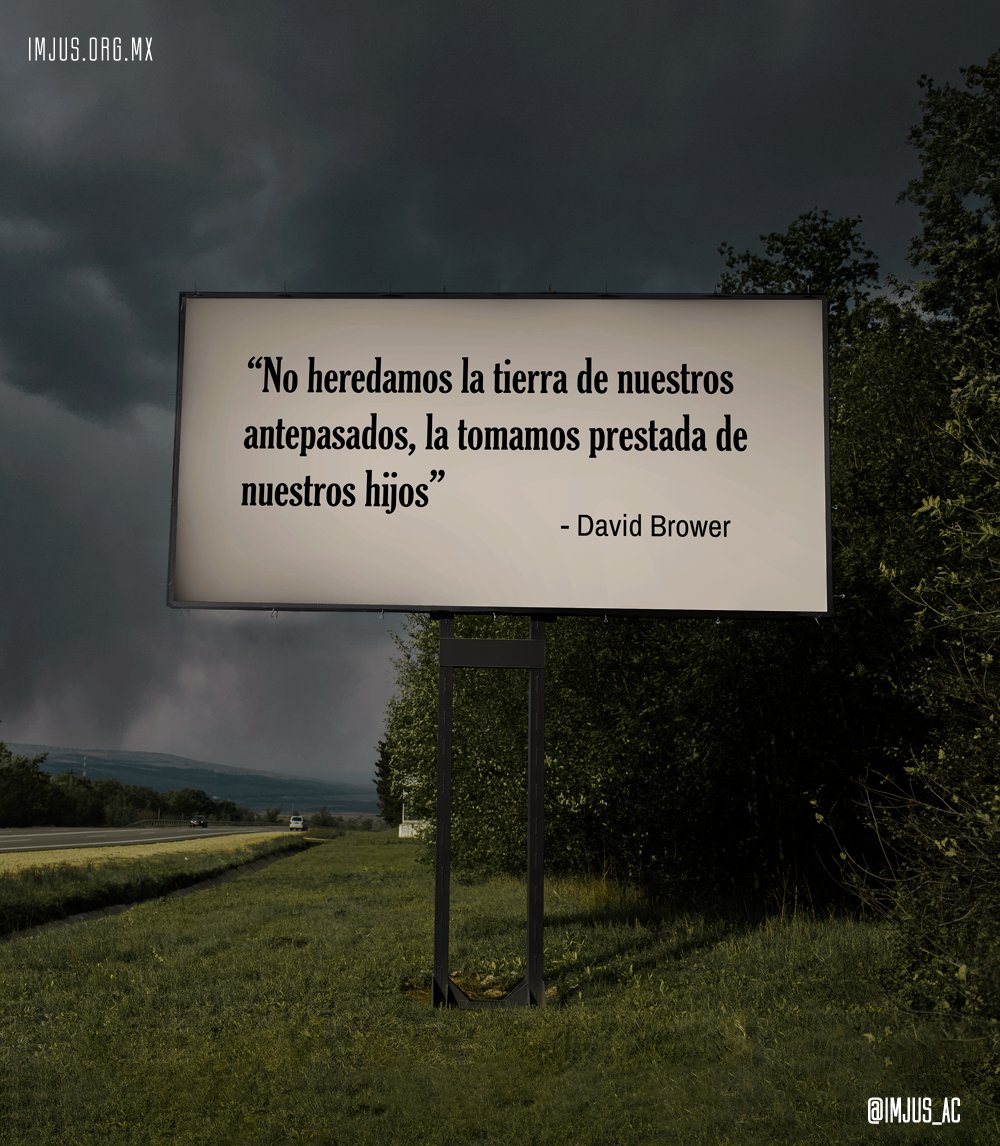 Instituto Mexicano Para La Justicia tweet media