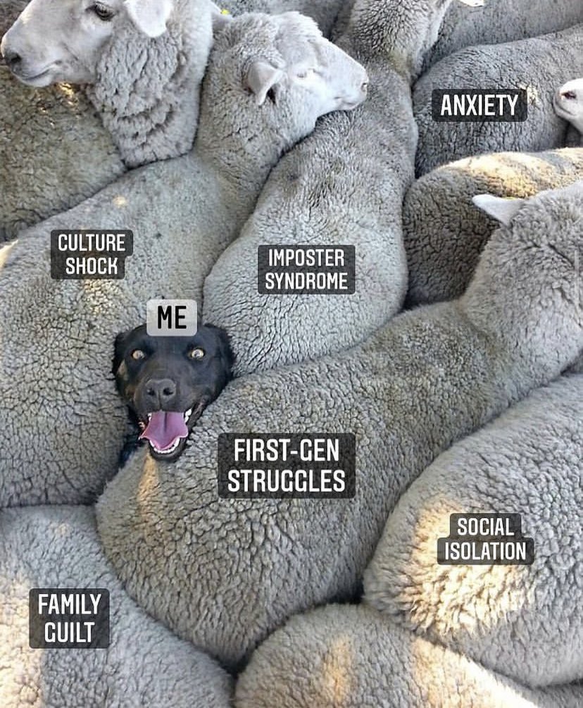 Peak-a-boo….it’s me! #phdchat #phdlife #AcademicChatter