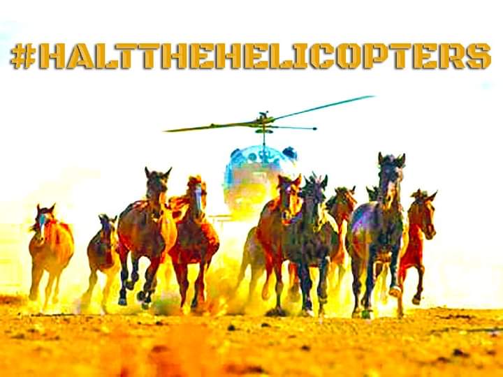 #HaltTheHelicopters #LetsDiscussTheCows
