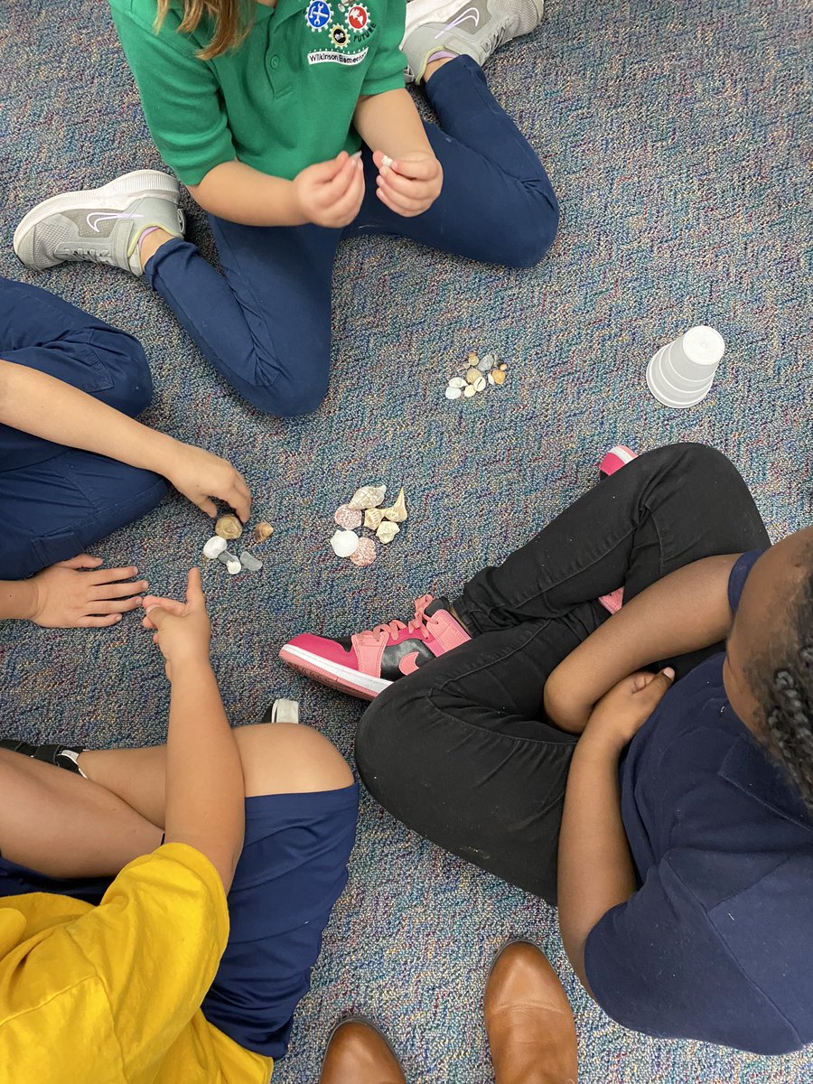 LauriCurrie's tweet photo. We are working on math strategies with doubles and doubles plus 1!  In science, we investigated properties of shells and how to sort objects by shape, size, color or texture! #wilkinsonrising @WilkinsonSCS https://t.co/XCqafSaa0k