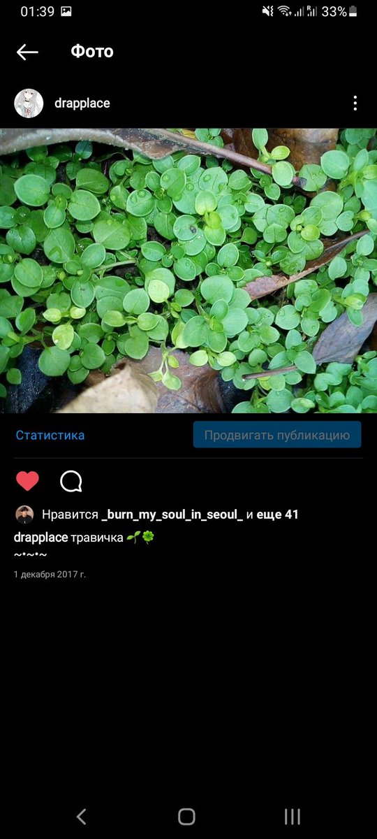 tailassha's tweet photo. @lovelyhnjn лан мы одинаковые https://t.co/PWlpblxy3P