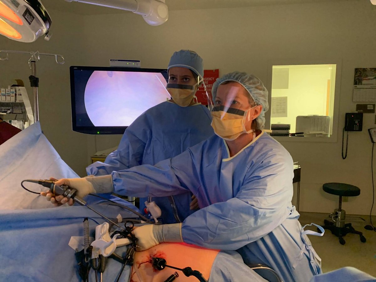 Baylor Global Surgery (@bcmglobalsurg) on Twitter photo Congratulations to <a href="/BCM_Surgery/">BCM_Surgery</a> #GlobalSurgery resident <a href="/youmnasheriff/">Youmna A. Sherif, MD</a> on being awarded the Golden Scalpel Award by <a href="/BCMEmergencyMed/">BCM_EmergencyMed</a> in recognition of her professionalism, communication, & excellence in patient care. Well deserved Dr. Sherif!
<a href="/BCMGSRes/">BCM General Surgery Residency</a> @RachelWDavis <a href="/DrRosengart/">Todd Rosengart, MD</a> Congratulations to <a href="/BCM_Surgery/">BCM_Surgery</a> #GlobalSurgery resident <a href="/youmnasheriff/">Youmna A. Sherif, MD</a> on being awarded the Golden Scalpel Award by <a href="/BCMEmergencyMed/">BCM_EmergencyMed</a> in recognition of her professionalism, communication, & excellence in patient care. Well deserved Dr. Sherif!
<a href="/BCMGSRes/">BCM General Surgery Residency</a> @RachelWDavis <a href="/DrRosengart/">Todd Rosengart, MD</a>