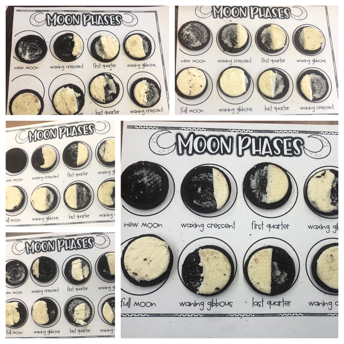 Yummy lesson on moon phases using Oreos! #ALPstudents