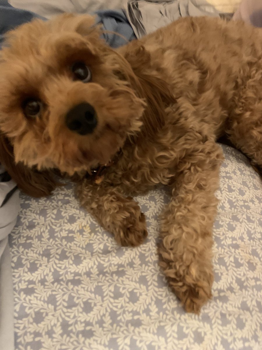 TBT Me the I was adopted almost 2 yrs ago, and today.