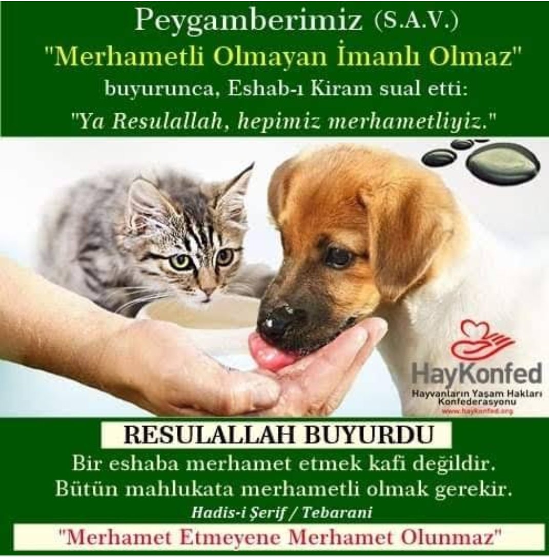 tulaySAMi_'s tweet photo. @PawGuardsTr #14ocakUzaltılsın https://t.co/PQaT01dGfA