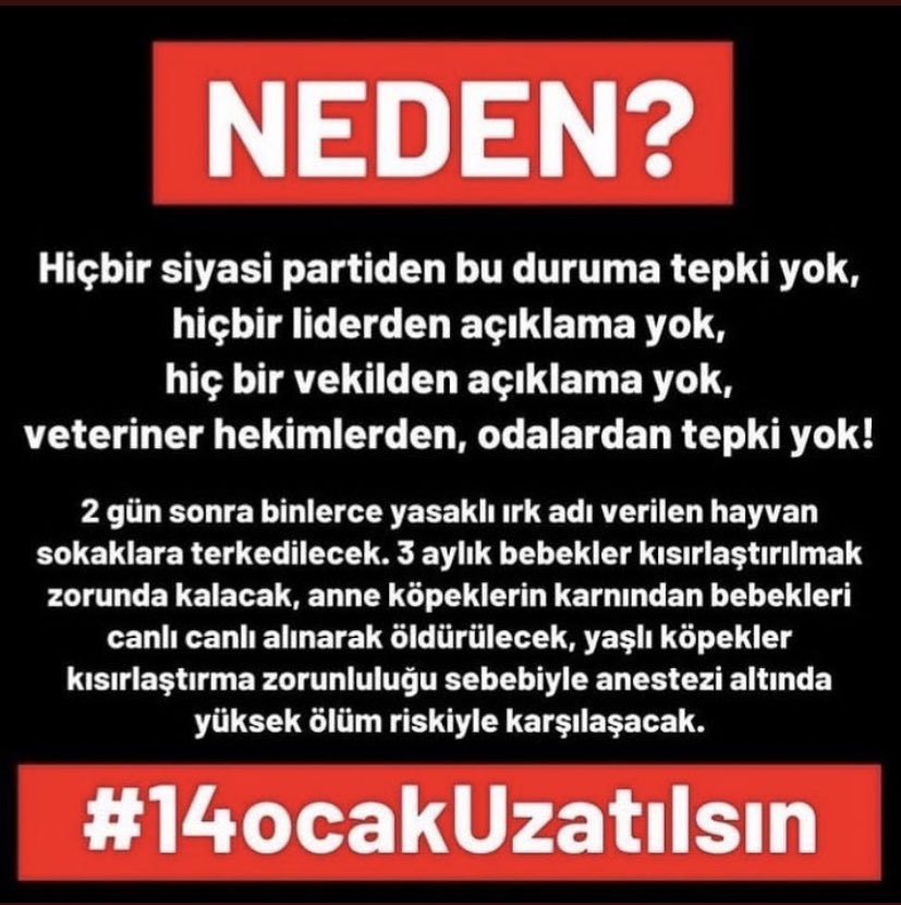 gulsentek's tweet photo. Ben köpeğimi kızgınlıktayken nasıl kısırlaştırıcam diye aradığımda o zaman 15 ocakta elinden alırız denildi. Biliyorum ki anestezi altına girmesi risk olan binlerce köpeğimiz var. Sırf belli başlı ırkları taşıdığı için bir canlıyı ölüme mahkum edemezsiniz. #14OcakUzatılsın https://t.co/CkFZ8UTivs