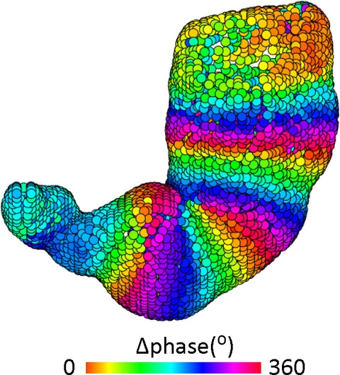 NGMJournal's tweet photo. Automatic dynamic 3D MRI assessment of human gastric motility and emptying - the new frontier?

Read more in January's @NGMJournal - open-access!

▶️https://t.co/71RZNNyH4O https://t.co/VDptUhfp6f