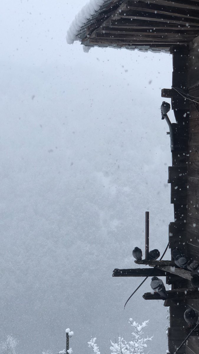 güzel olduğu kadarda soğuk