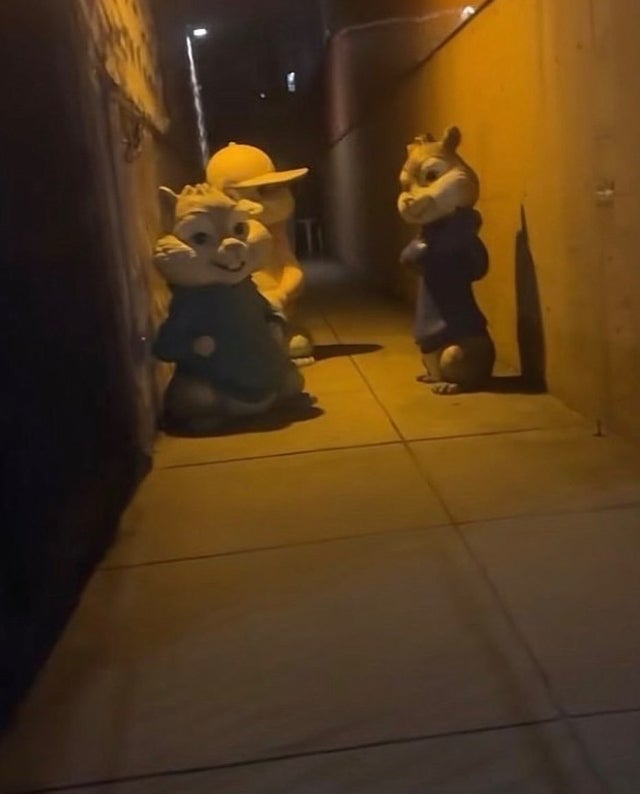 weirdwithwords's tweet photo. not a damn thing in heaven or earth could motivate me to walk down this alley https://t.co/fSQ3PvbWHP