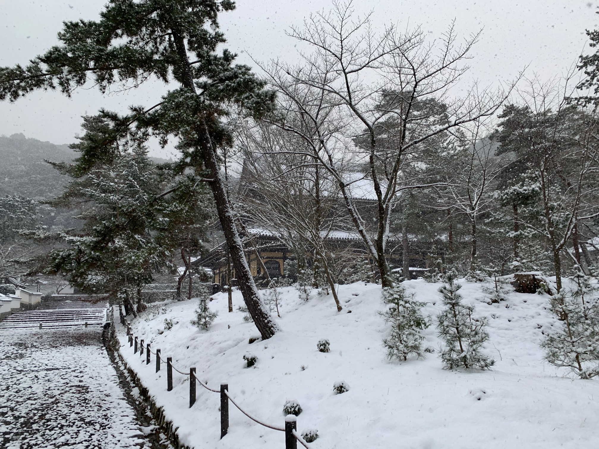 雪やこんこん Twitter Search Twitter