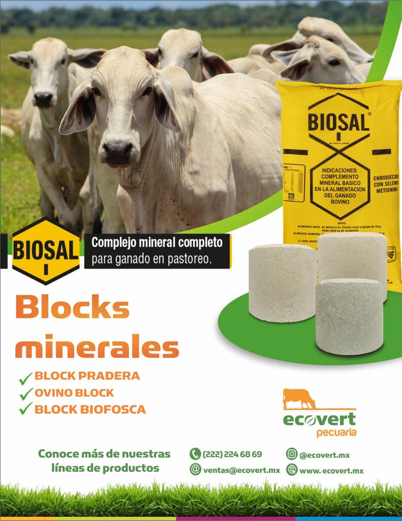 revista_agroreg's tweet photo. Amigo productor #ecovert nos presenta blocks minerales para tu ganado..
Mayores informes en: https://t.co/DkMa5xpkB6 ✅ https://t.co/m5MdYjhcyE