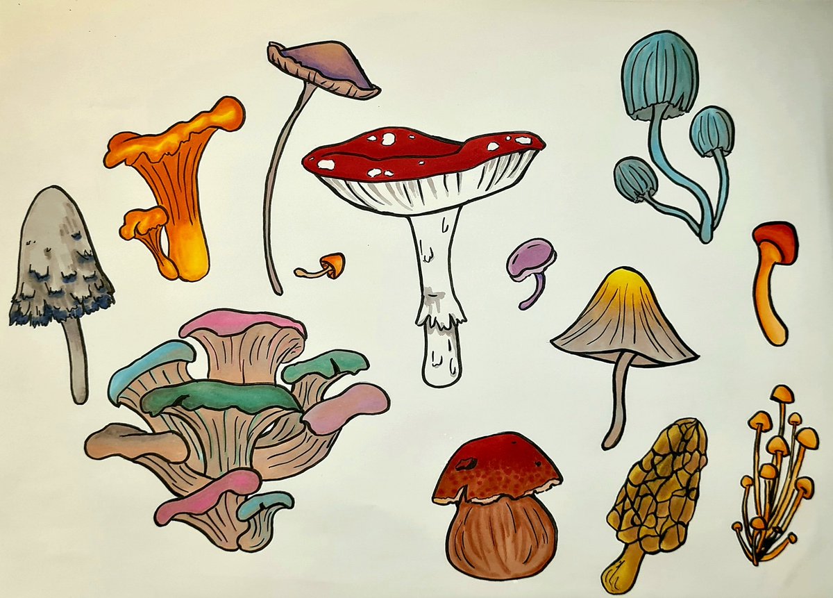 heptapus's tweet photo. brain: oh you want to paint something serious? but you're just a silly little dude, a fun-guy, a marker-novice... this is all I can offer 🐸🍄 https://t.co/3ALflQxZAN