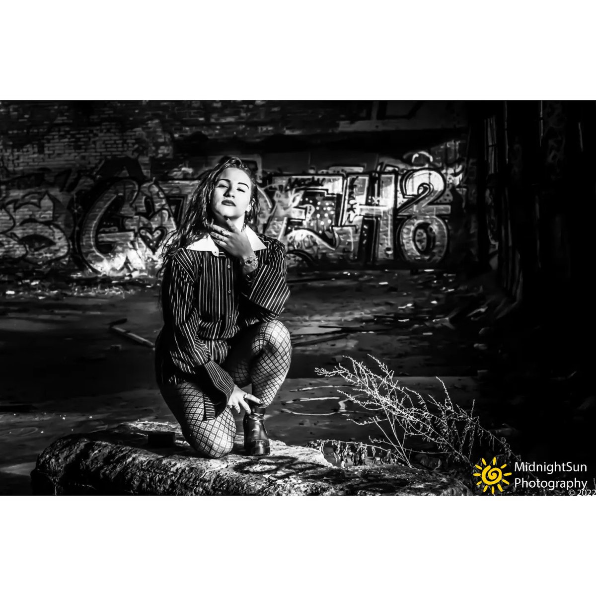 MidnightSun Photography tweet media