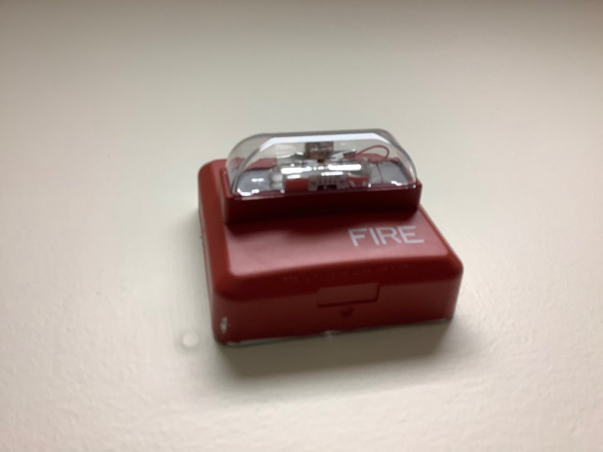 A ZRS at my school with a bug inside! #WhatAFireAlarmFail