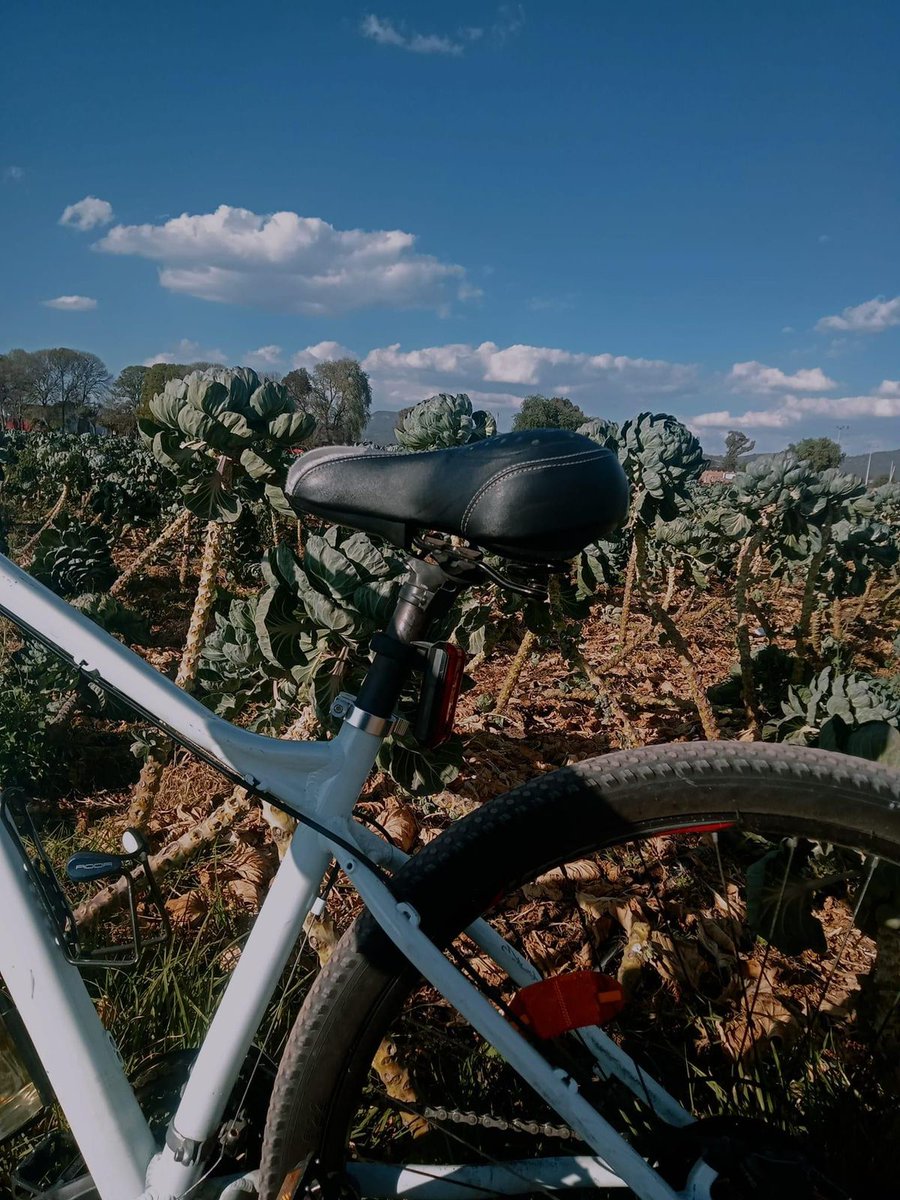 JCHR1920's tweet photo. "Hagas lo que hagas, hazlo intensamente"!!!
[Robert Henri]
Ruta vespertina: San Antonio de las Cuevas #rodarbikeméxico #yoamolabicicleta #rodarnosune #alcachofa🚴🚴🌱🌱 https://t.co/deuARTrdQz