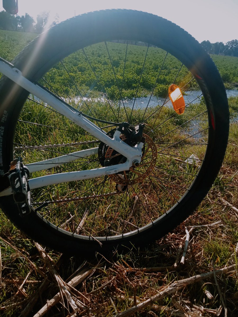 JCHR1920's tweet photo. "Hagas lo que hagas, hazlo intensamente"!!!
[Robert Henri]
Ruta vespertina: San Antonio de las Cuevas #rodarbikeméxico #yoamolabicicleta #rodarnosune #alcachofa🚴🚴🌱🌱 https://t.co/deuARTrdQz