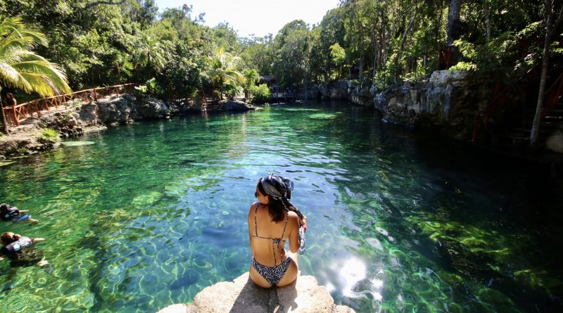 turitipsmx's tweet photo. Visita el corredor natural en Quintana Roo, área protegida por el ecoturismo
🌿 https://t.co/2lToX4kR0Z
#Turitips https://t.co/9sk3Oo8dqy
