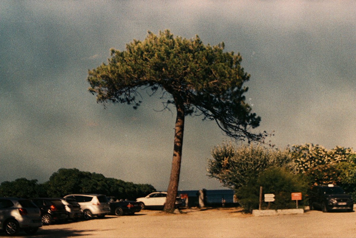 NOTNA Pictures 📸 tweet media