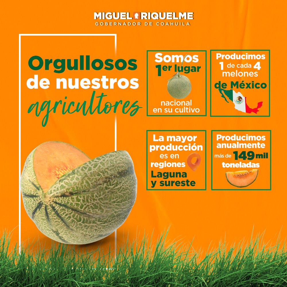 Gracias al trabajo agropecuario de nuestra gente, los mexicanos consumen el melón más dulce del país: el coahuilense.🍈