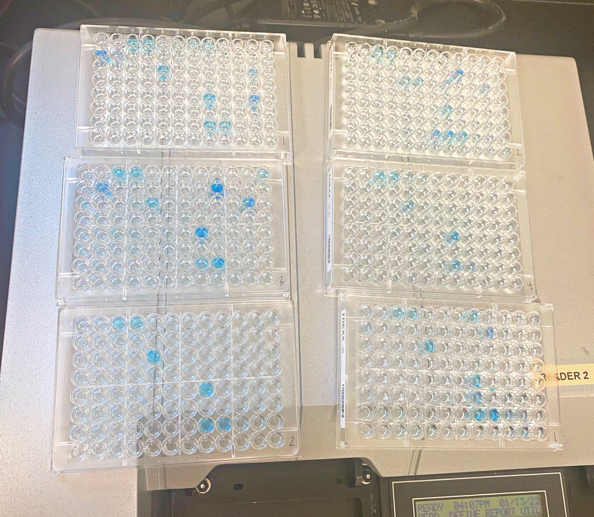 My job is is pretty 🥰✨

(Also try to guess what’s wrong with this test)