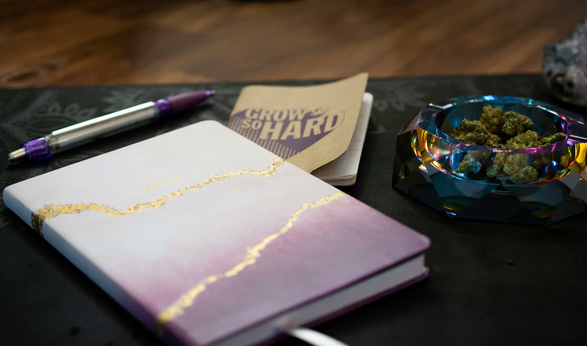 greenlovedenver's tweet image. Grow So Hard 👏 2022 MOOD. 

I&apos;m taking the new year day by day, working on creating shorter more attainable goals so the year doesn&apos;t seem so lofty! 

What tips do you have for setting goals and keeping them? 

#growsohard #settingintention #journaling #lityogi #growthmindset