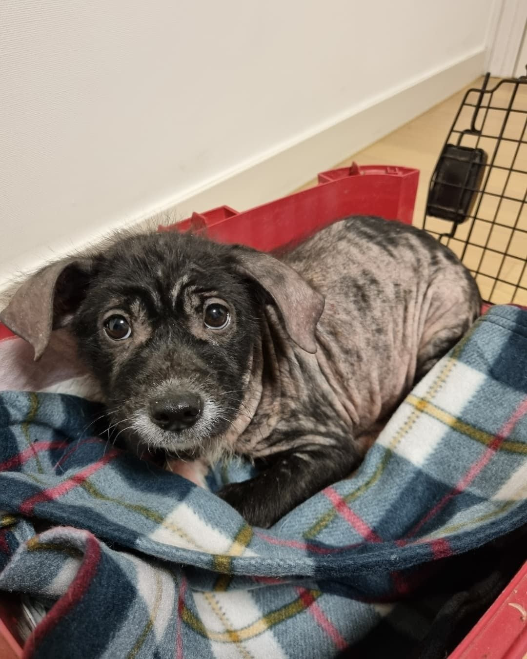 FJBbOUPaMAIo3rS?format=jpg&name=large