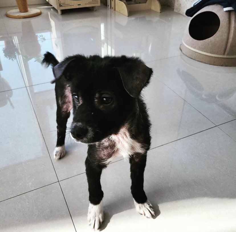 FJBbOj0aQAA1-Ju?format=jpg&name=900x900