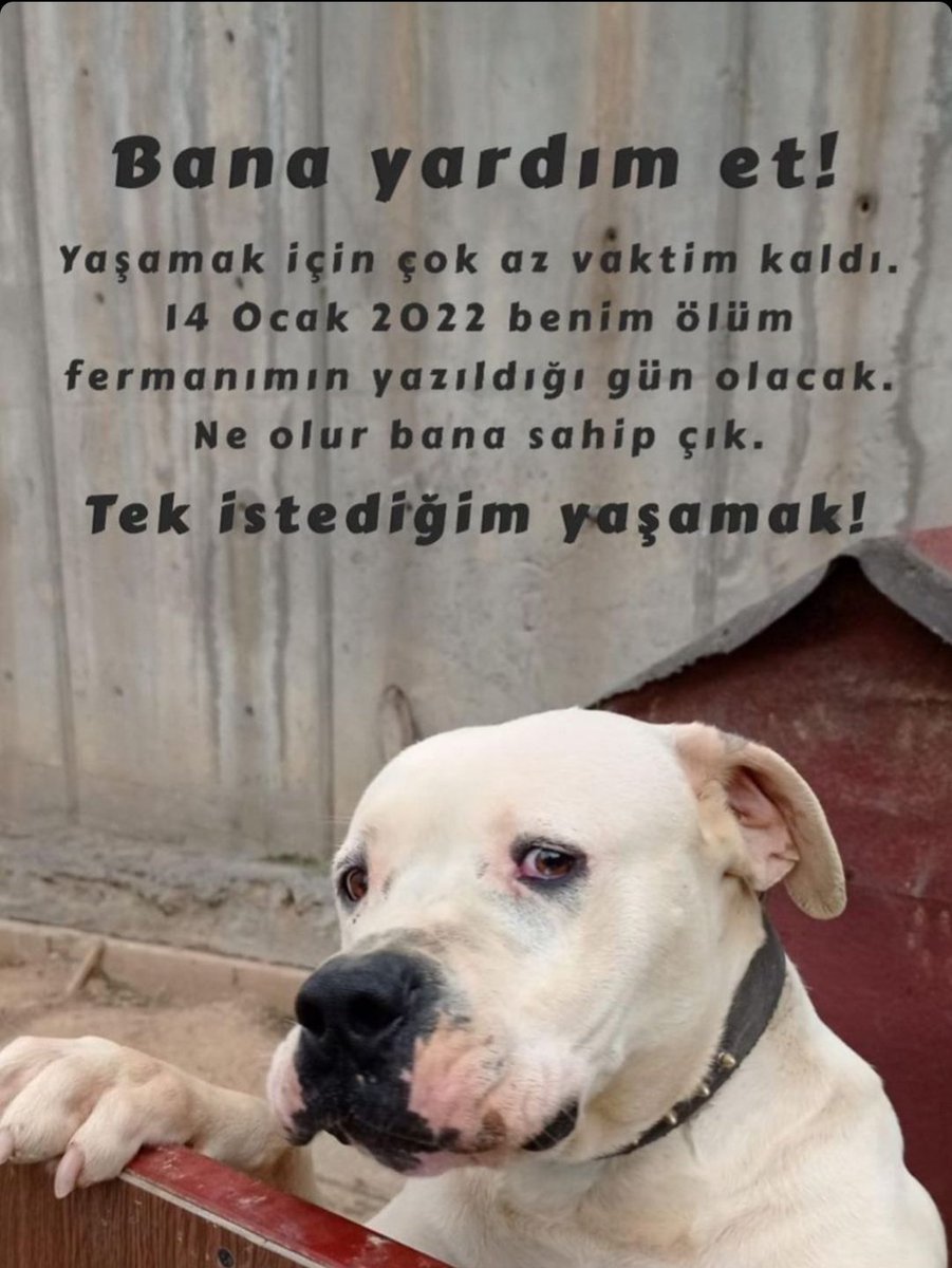 tulaySAMi_'s tweet photo. #14ocakUzaltılsın https://t.co/xs0UFTHqmA