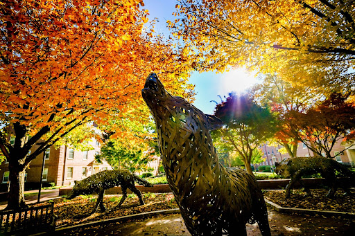 NC State Dept. of Agricultural & Human Sciences tweet media
