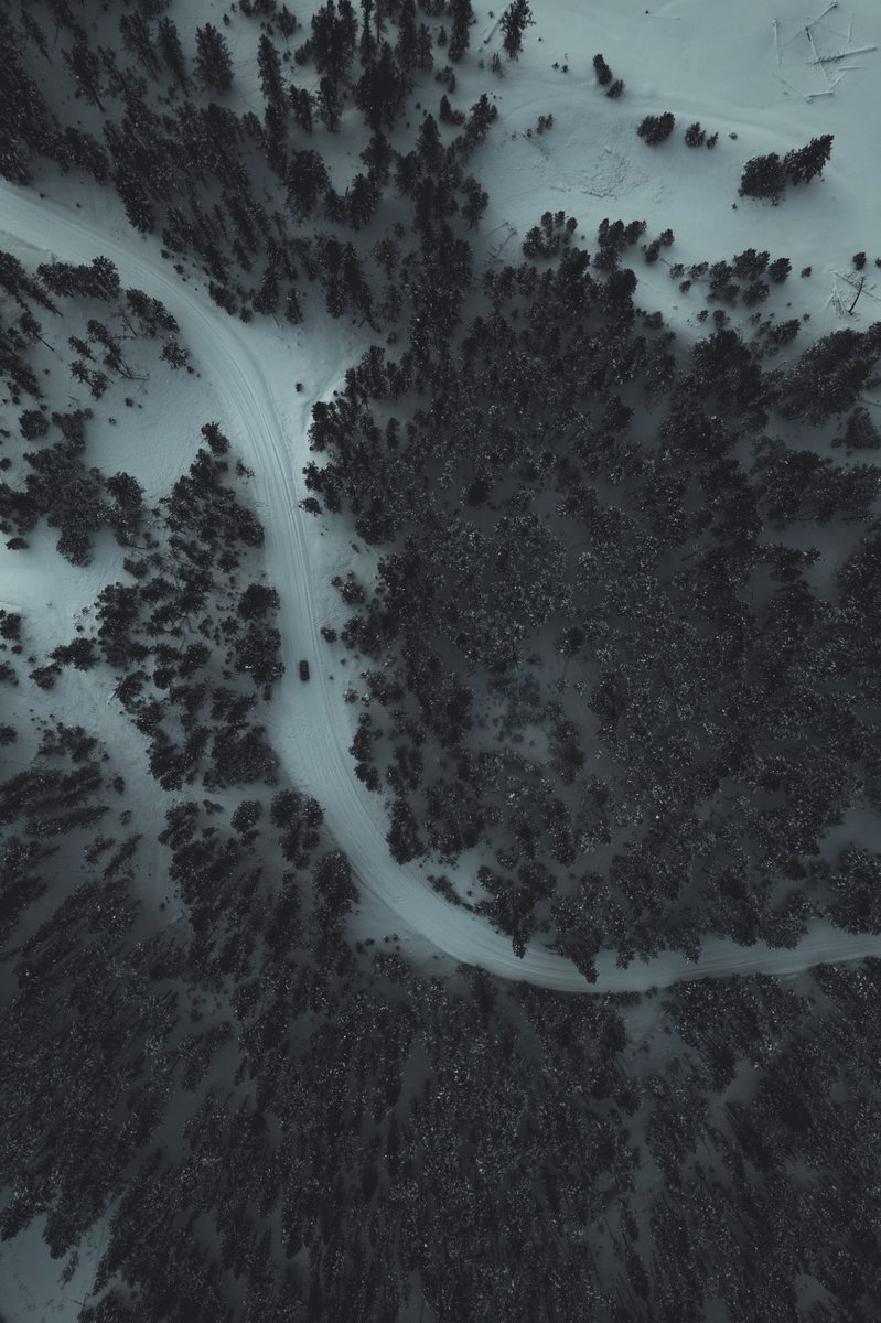 JP and the Blue Biscuit  go shredding 🍪 🏄🏻‍♂️