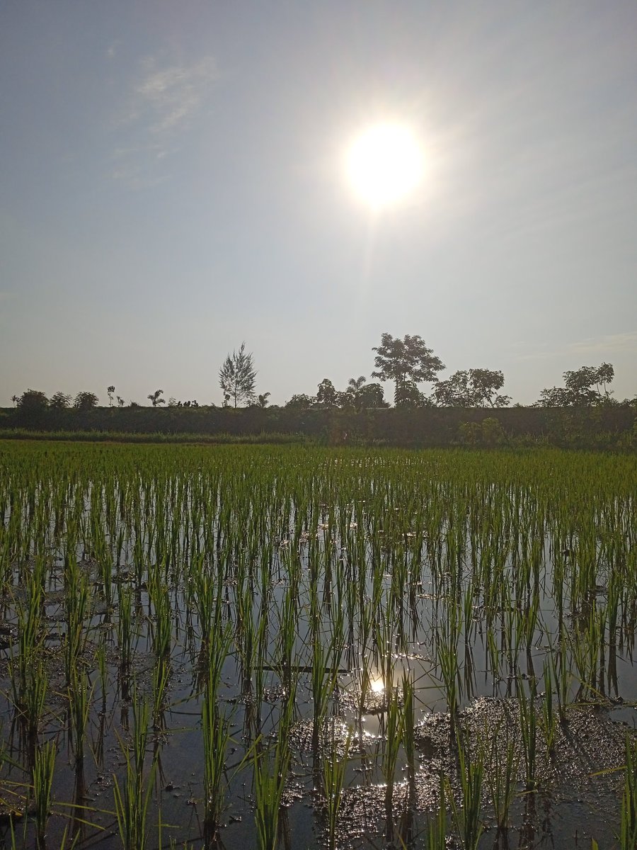Senengno Atimu, Tenangno Pikiranmu🥰.