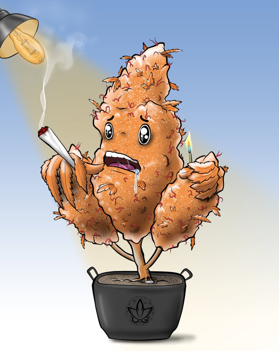 OGWeedNFT | Mint LIVE @0.5 SOL tweet media