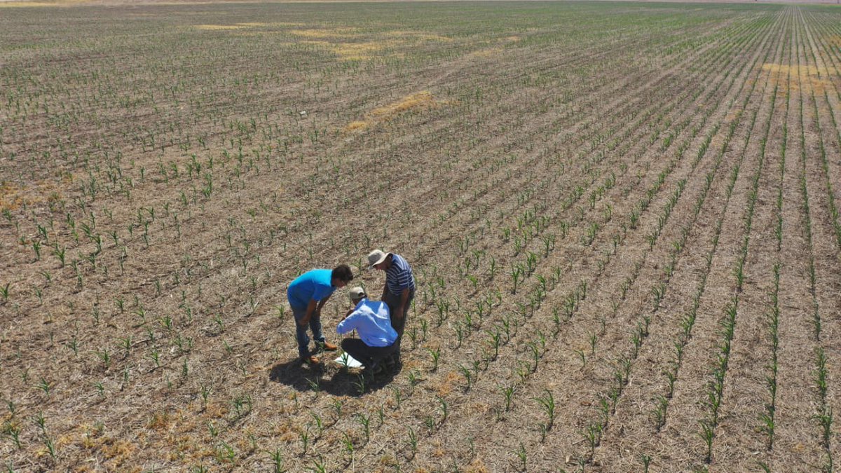 AGD TUCUMÁN tweet media