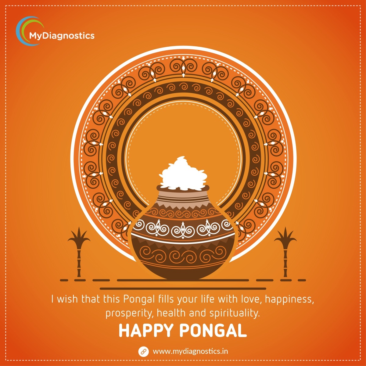 MyDiagnosticsIN's tweet photo. Team MyDiagnostic wishes that this festival be the start of your brighter days filled with happiness good luck and prosperity

#mydiagnostics #health #pongal #happypongal https://t.co/3GUzxNQBVf