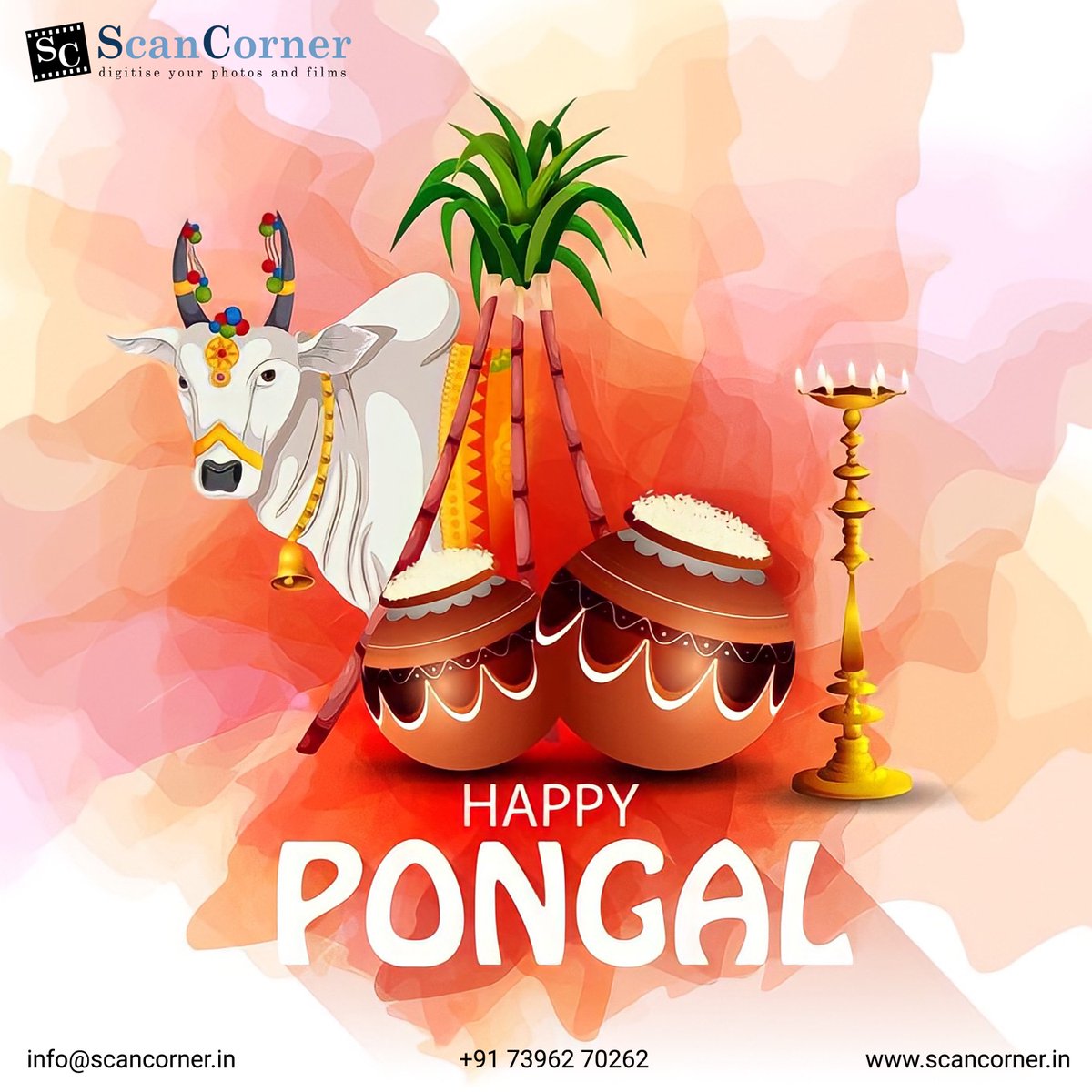 ScanCorner's tweet image. Hope this festive season brings joy to you and your loved ones; and may all your wishes come true this year. Happy Makar Sankranti!

#sankranti #makarsankranti #pongal #festival #lohri #celebrations #greetings #scancornerindia #scancorner