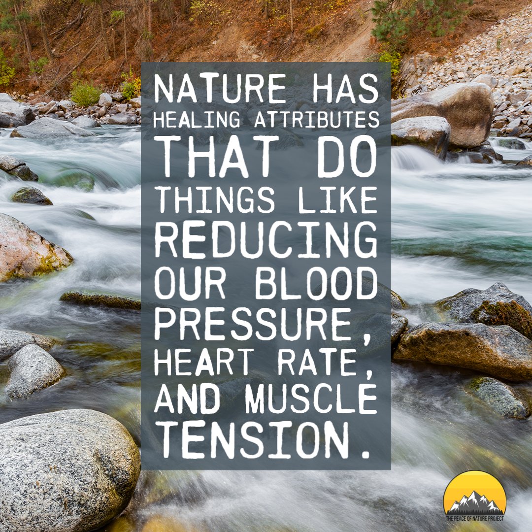 brent_seamons's tweet photo. Nature has healing attributes that do things like reducing our blood pressure, heart rate, and muscle tension. Have you experienced any of these or other healing attributes of nature?

#NatureHeals #BeInNature #NatureForHealth https://t.co/fbg2vy7Egf