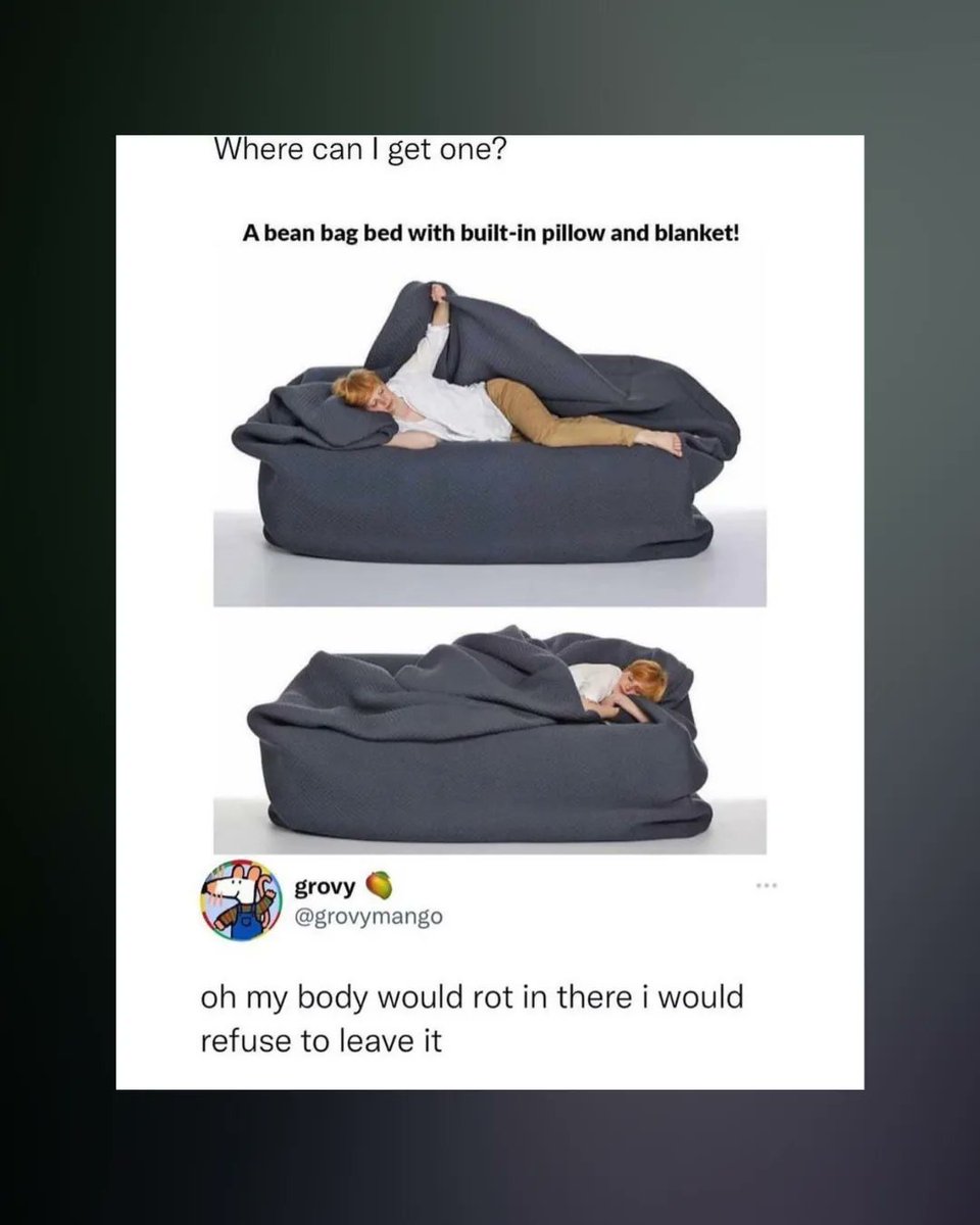 SehatuSleep's tweet photo. I think we all deserve one of those for this cold, rainy weather ☔️ 

Blanket ✅ 
Pillow ✅ 
Bean Bag ✅ 
Hibernation ✅ 
.
.
.
.
.
#cozyvibes #goodsleep #needsleep #nightowl #sleepy #sleepyhead #nosleep #teamnosleep #cantsleep #sleeptime #sleeptight #sleepwell #bedtime https://t.co/aKK5UsiSSD