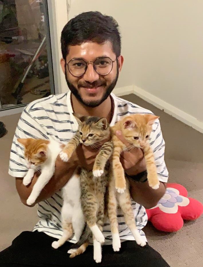 rosoogullaa's tweet photo. Kitten Meetup🐾
Thank you @RaziaShaik1 for inviting me for this Kitten Meetup and it's pleasure to meet your #kittenfamily 
They all are adorable ❤ https://t.co/j4kyJHWG05