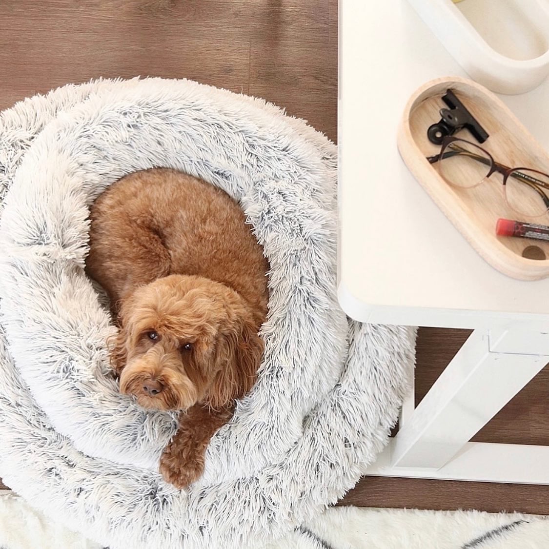 mrigden's tweet photo. @wwt_life My co-worker sleeps on the job a lot… https://t.co/2uzIAEo8IR