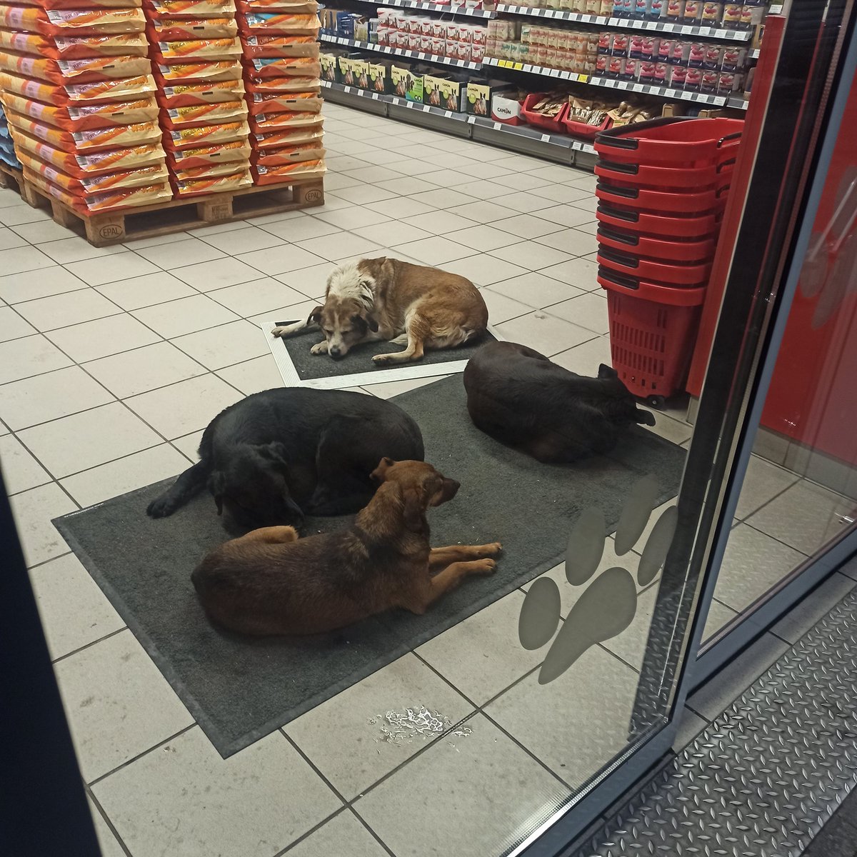 bubamara1512's tweet image. Mene ovakve stvari čine srećnom ❤️