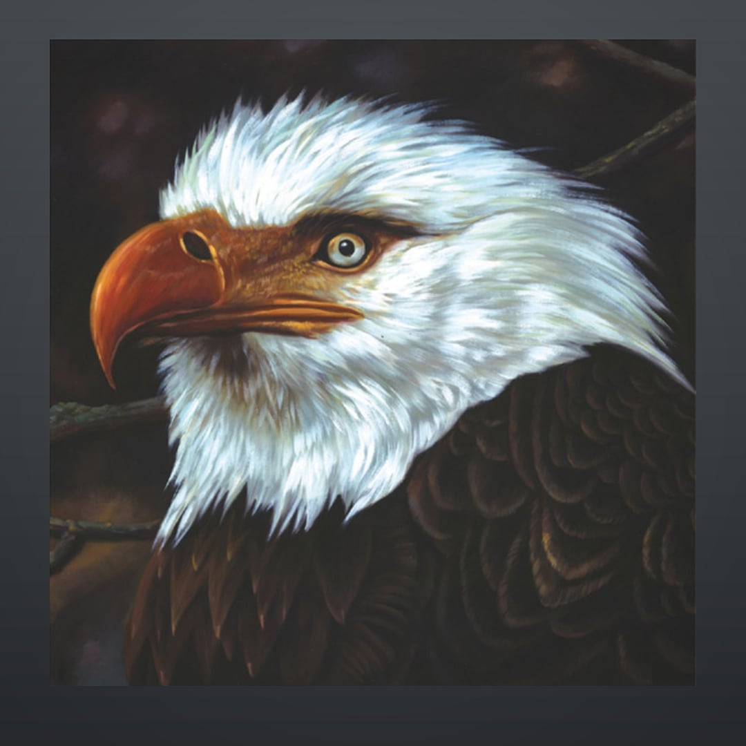 TeddyWilson's tweet photo. Current status... #Mogwai #TheHawkIsHowling @mogwaiband 💜 🎶 🎵 https://t.co/NeA228k8Z1