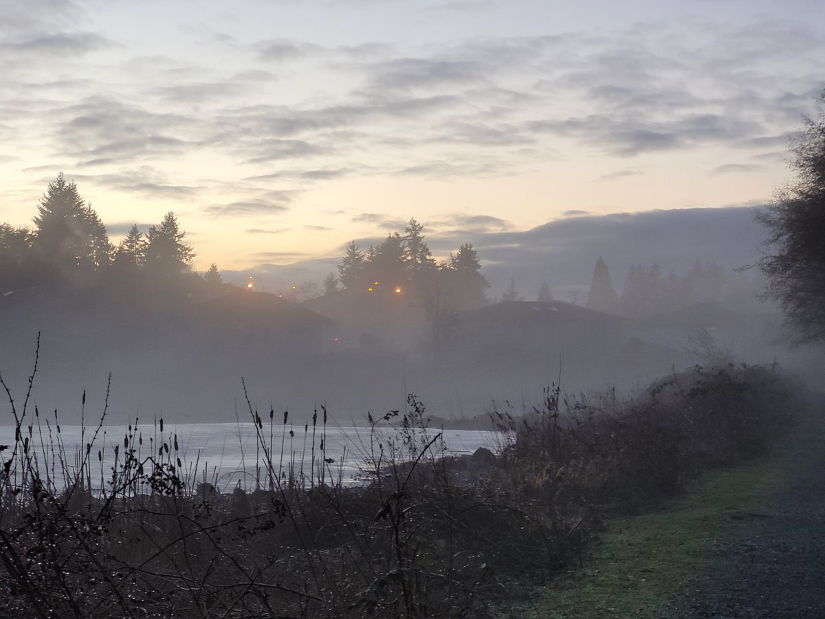 dustinjaywalker's tweet photo. Foggy winter stroll.

#nanaimo #westcoast #vancouverisland https://t.co/tkxjXiqX8p