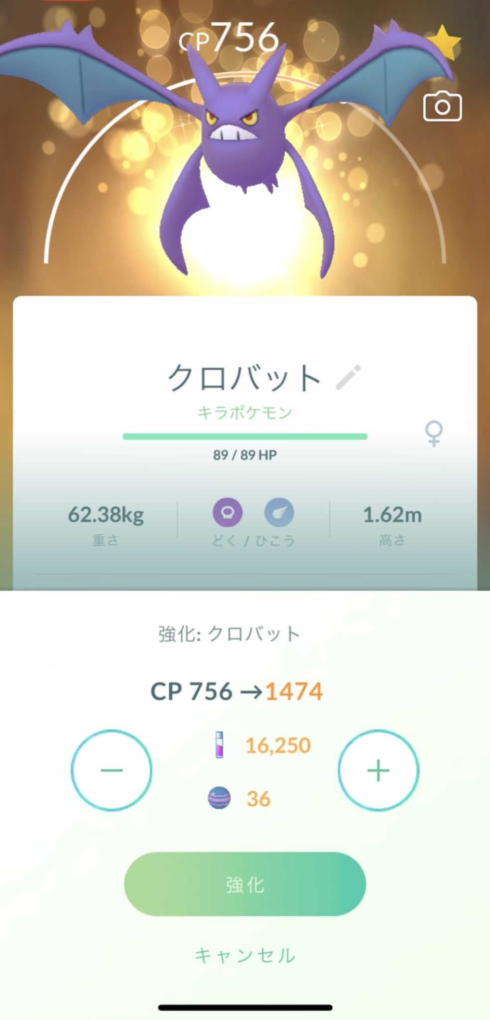 ポケモンgo 進化 カイリキー Twitter Search Twitter