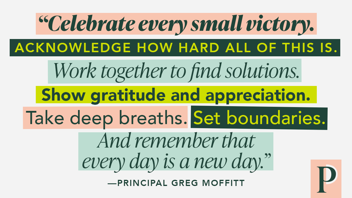 Principal Project tweet media