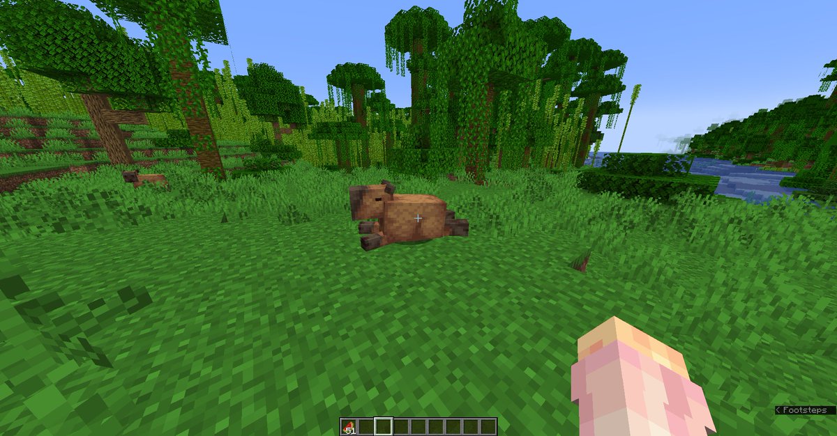 WashmaButt's tweet photo. Capybara?!! Capybara!!! ^_^ Coconut doggy, oh my gosh! https://t.co/hHBDt9OjiU