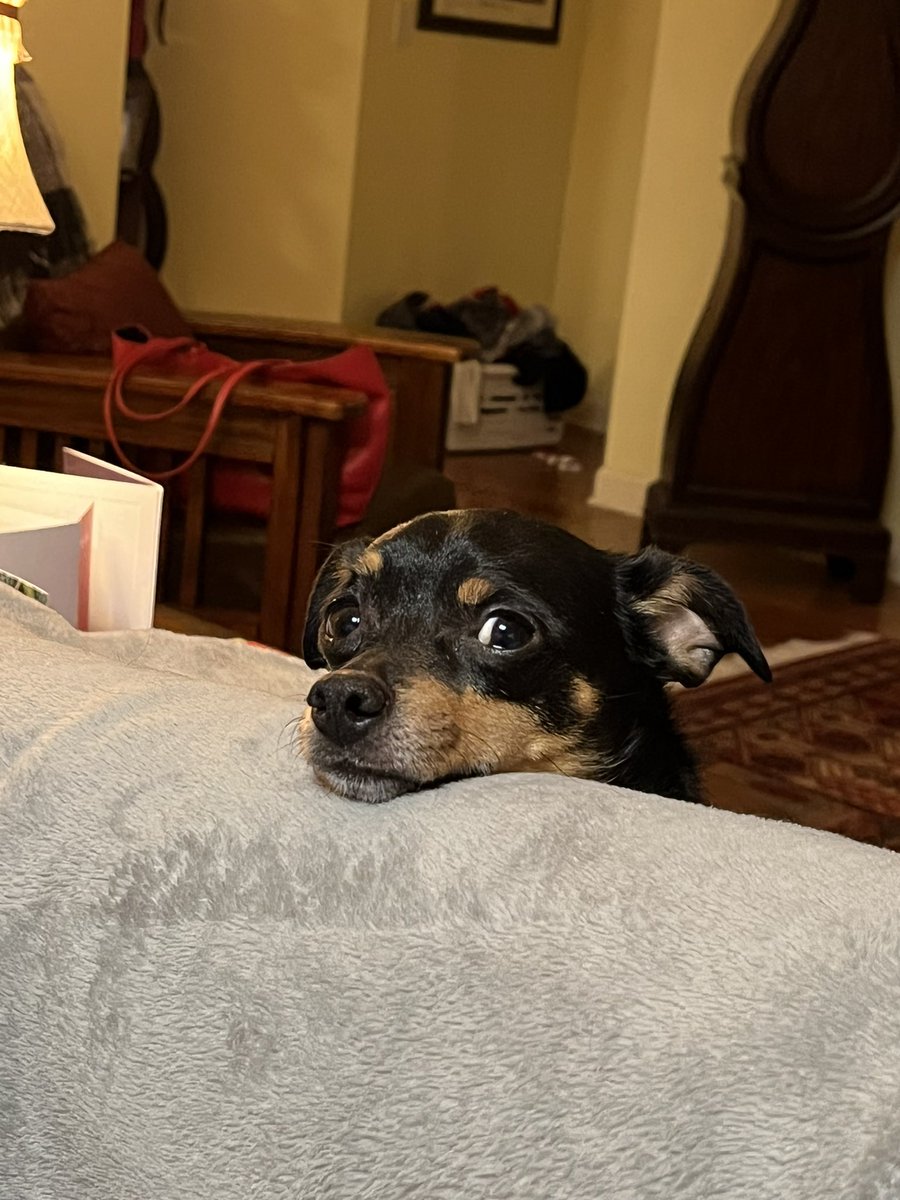 Joshua Pulliam tweet media