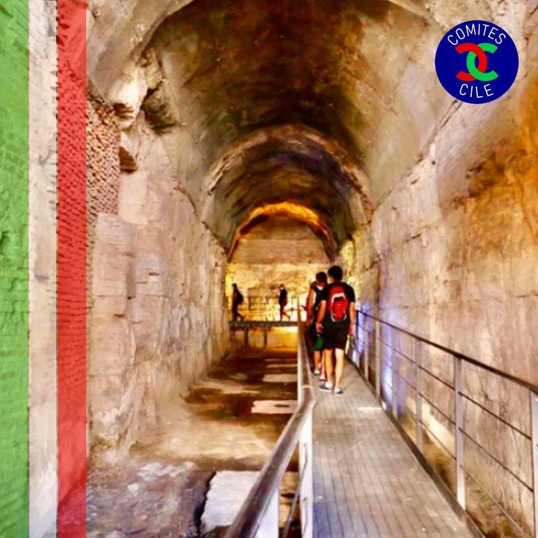 ComitesCile's tweet photo. Que Visitar ? . Explore las áreas del Coliseo que no son accesibles para los poseedores de boletos regulares, y vea el nivel subterráneo, la Arena, el Belvedere y el Foro Romano. En el camino, su recorrido cobrará vida con comentarios de guías a través de auriculares. 😍🇨🇱🇮🇹 https://t.co/Q4748lQJjN